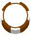 Chip Brown